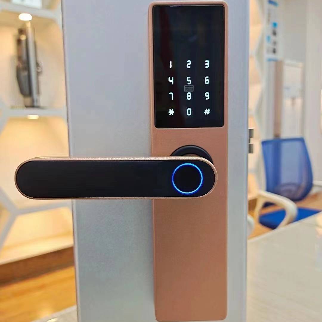 Wooden Door Fingerprint Lock Graffiti Pass Wooden Door Fingerprint Lock Graffiti Pass